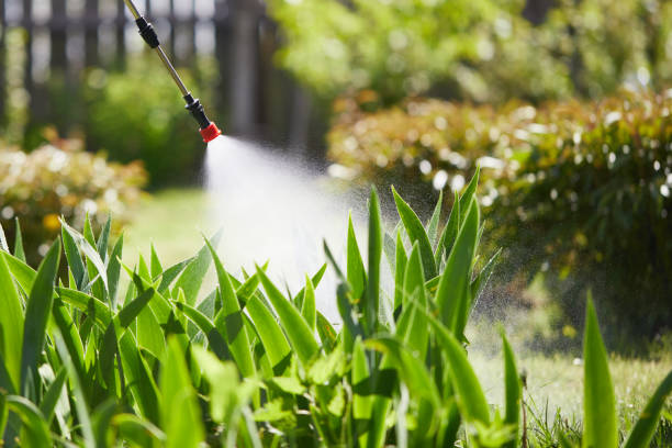 24/7 Emergency Wasp Removal experts in Trophy Club, TX