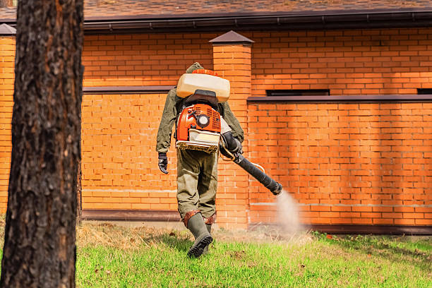 Top rated local Wasp Removal specialists in Trophy Club, TX